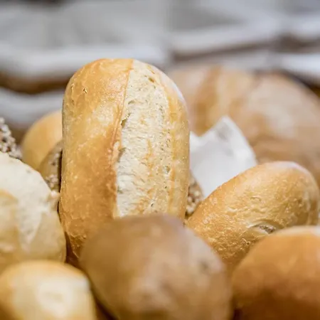 Bed & Breakfast Fender